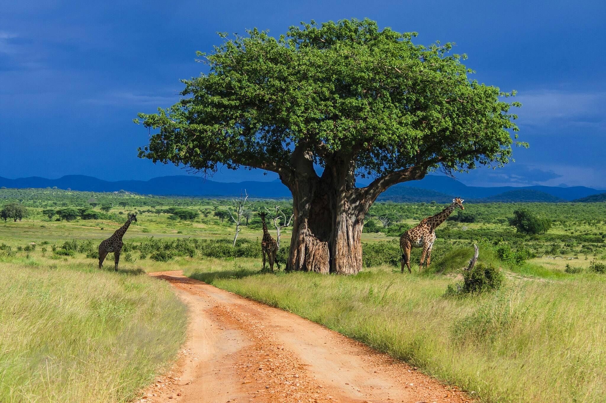 Tourism in Tanzania