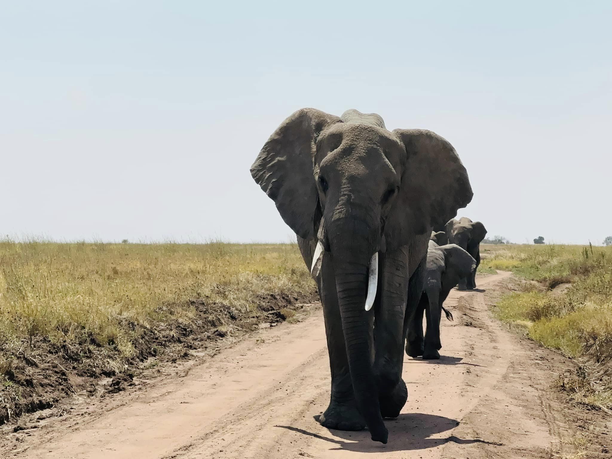 Components of Tourism