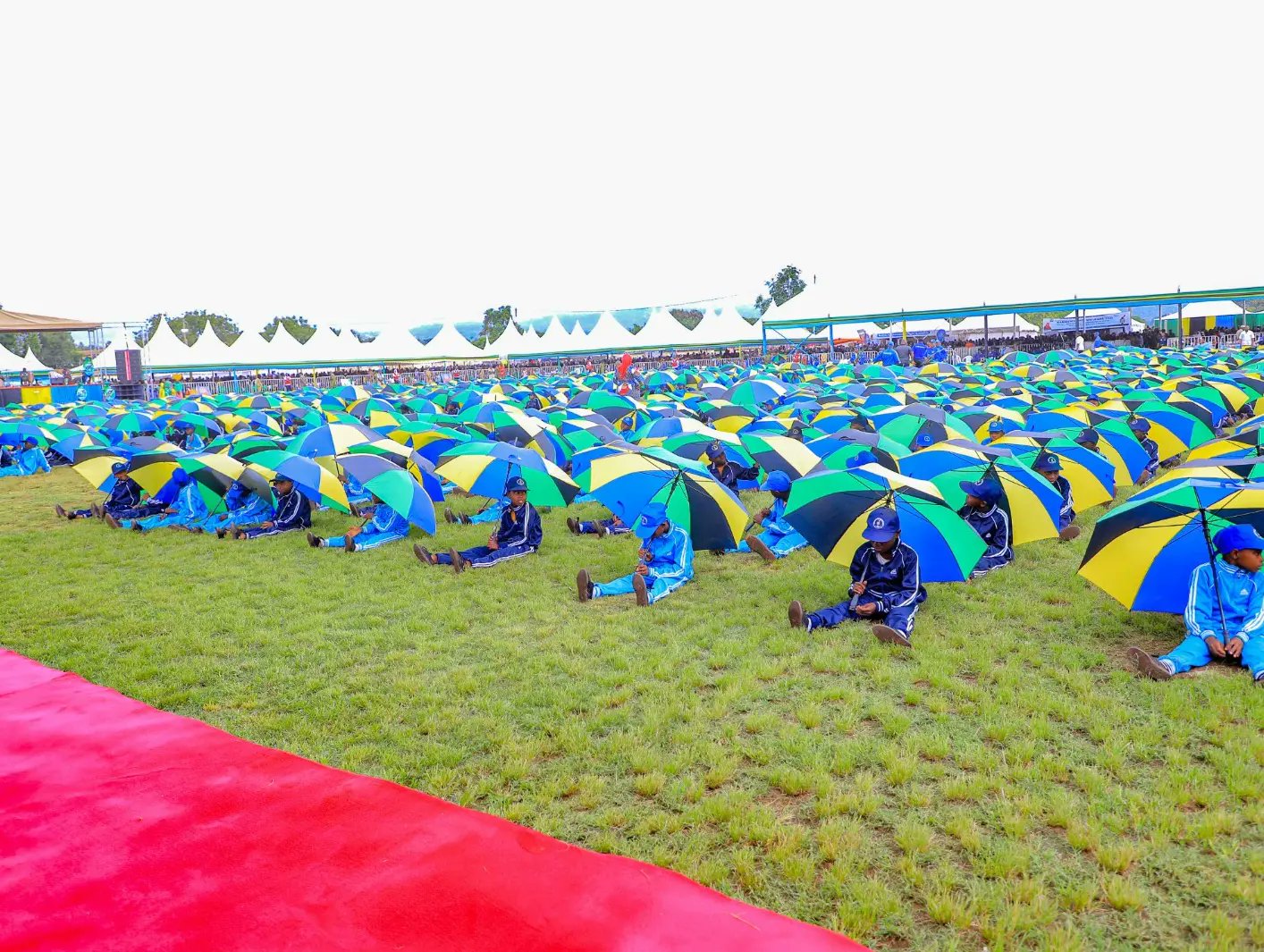 Freedom race Freedom race