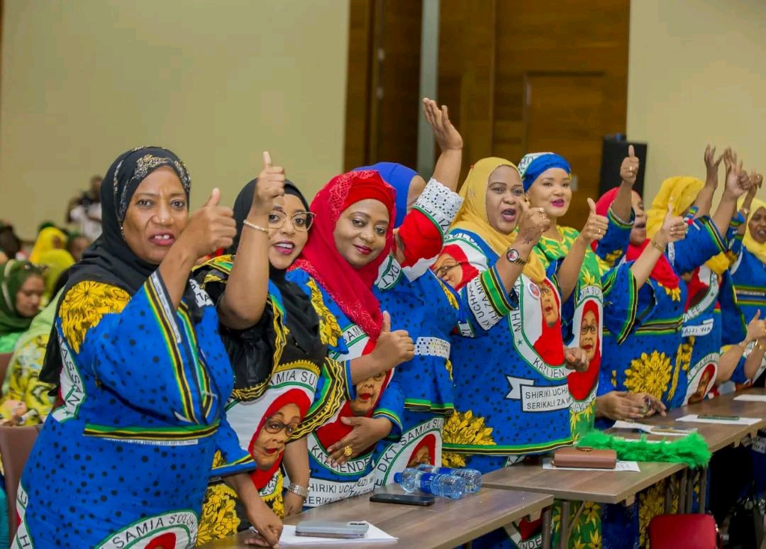 President Hussein Ali Mwinyi