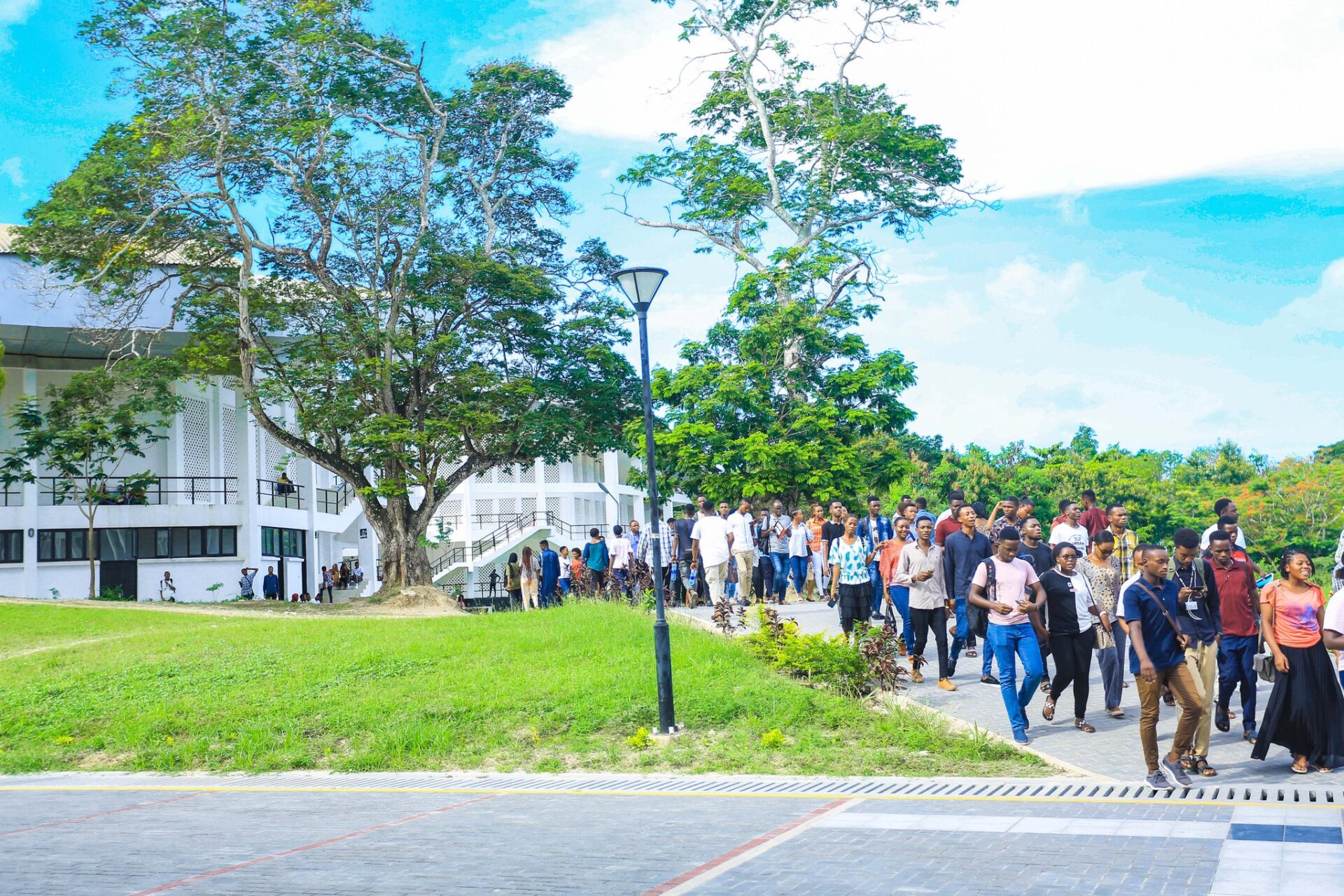 University of Dar es Salaam University of Dar es Salaam