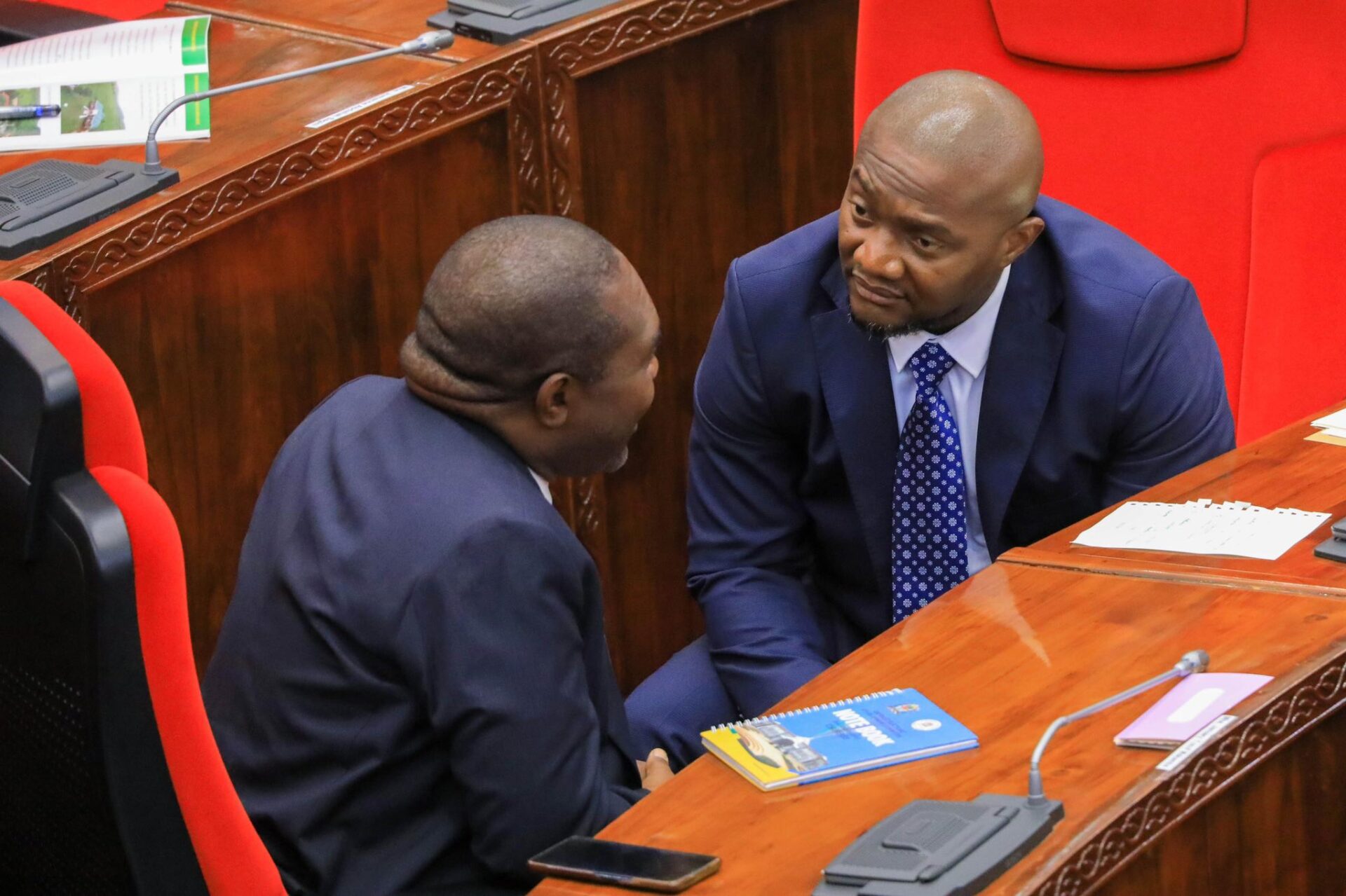 Parliament Meeting in Dodoma