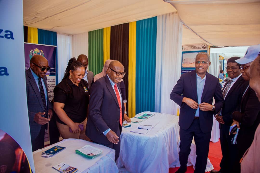 Local Government Elections