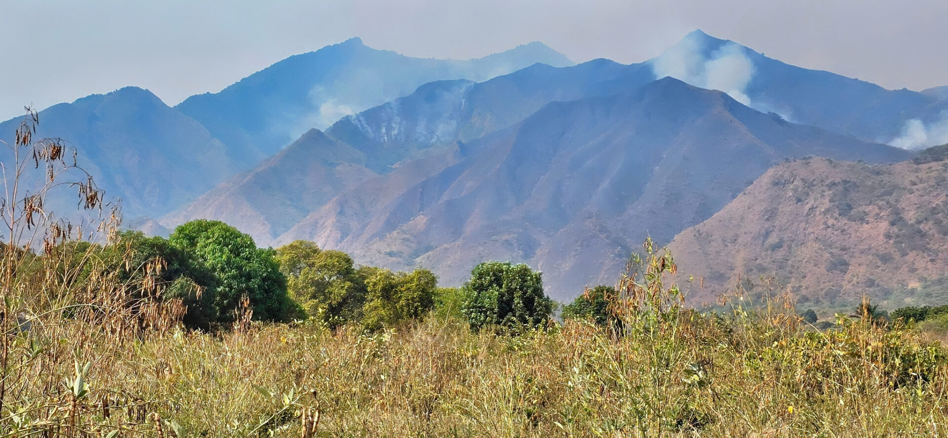 Livingstone Mountains