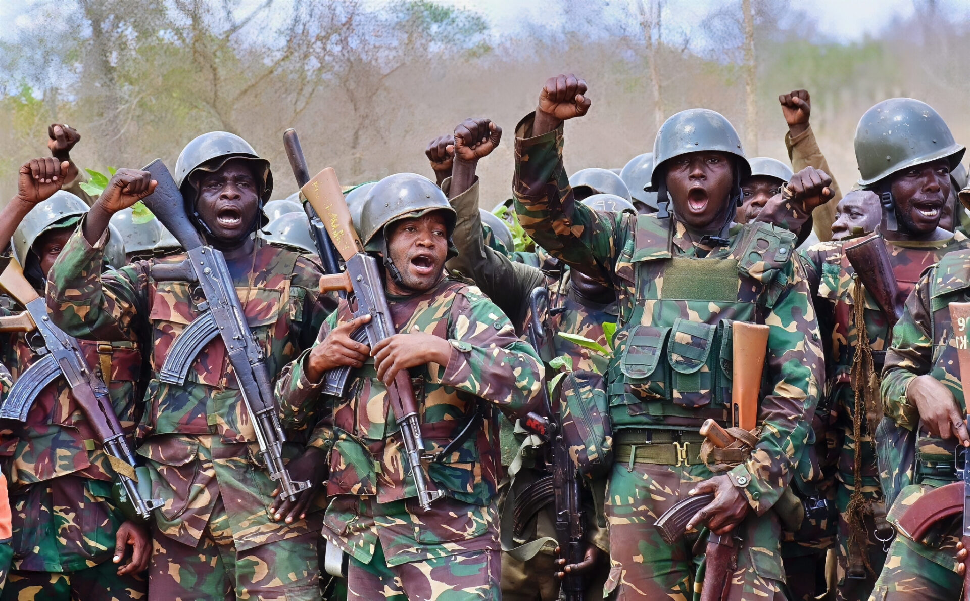 Tanzanian armed forces
