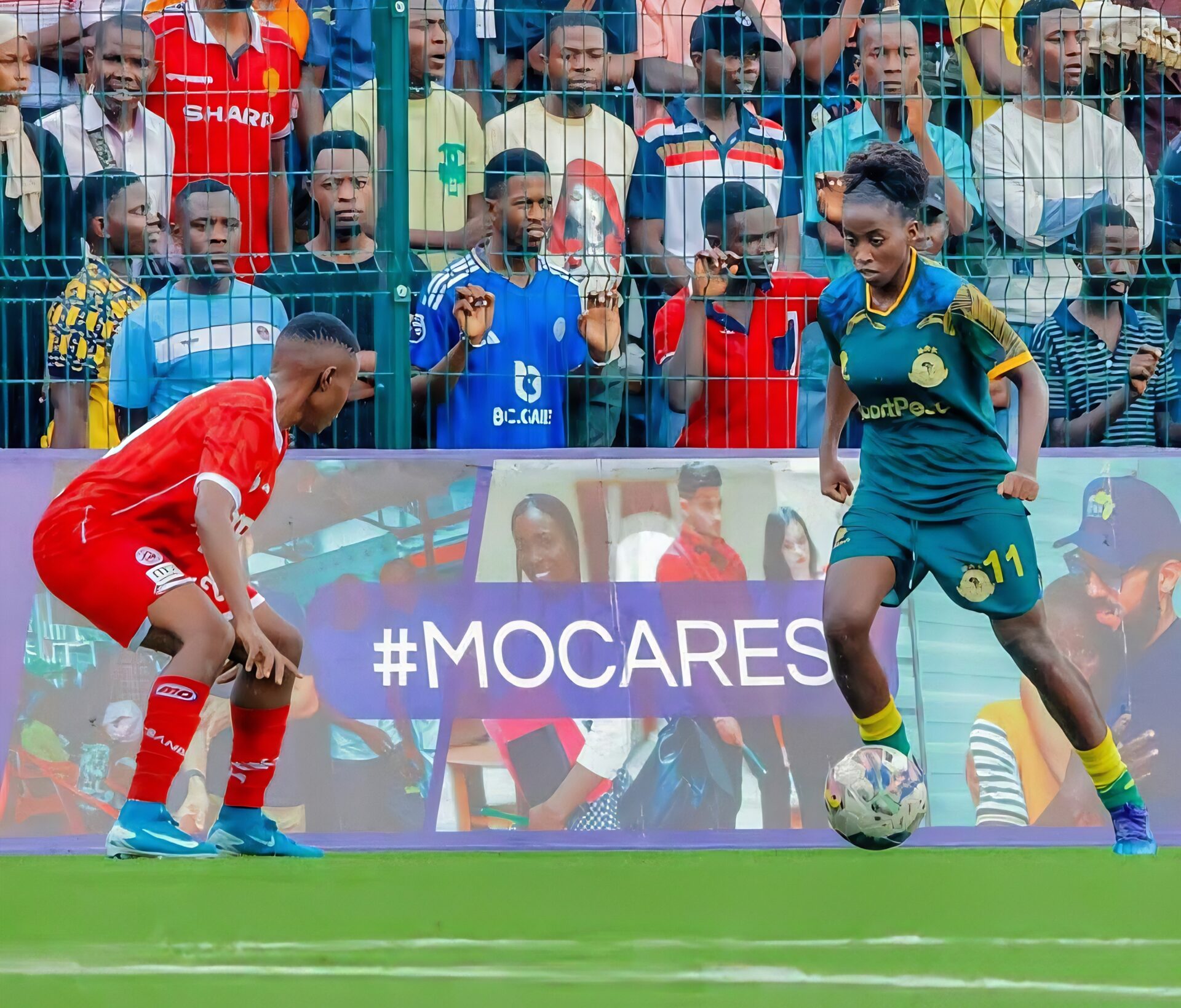 Yanga Princess Yanga Princess