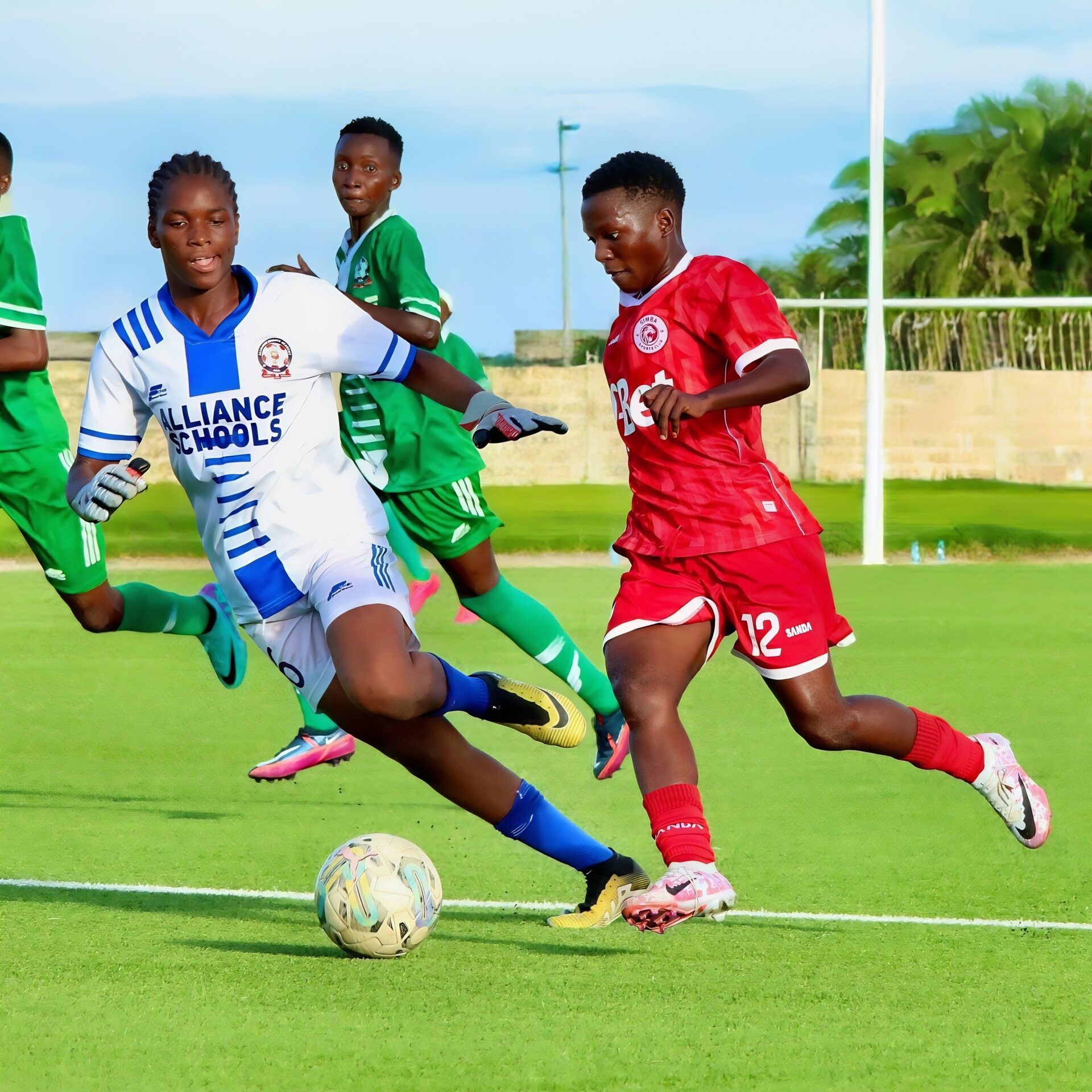 Tanzania Women's Premier League Tanzania Women's Premier League
