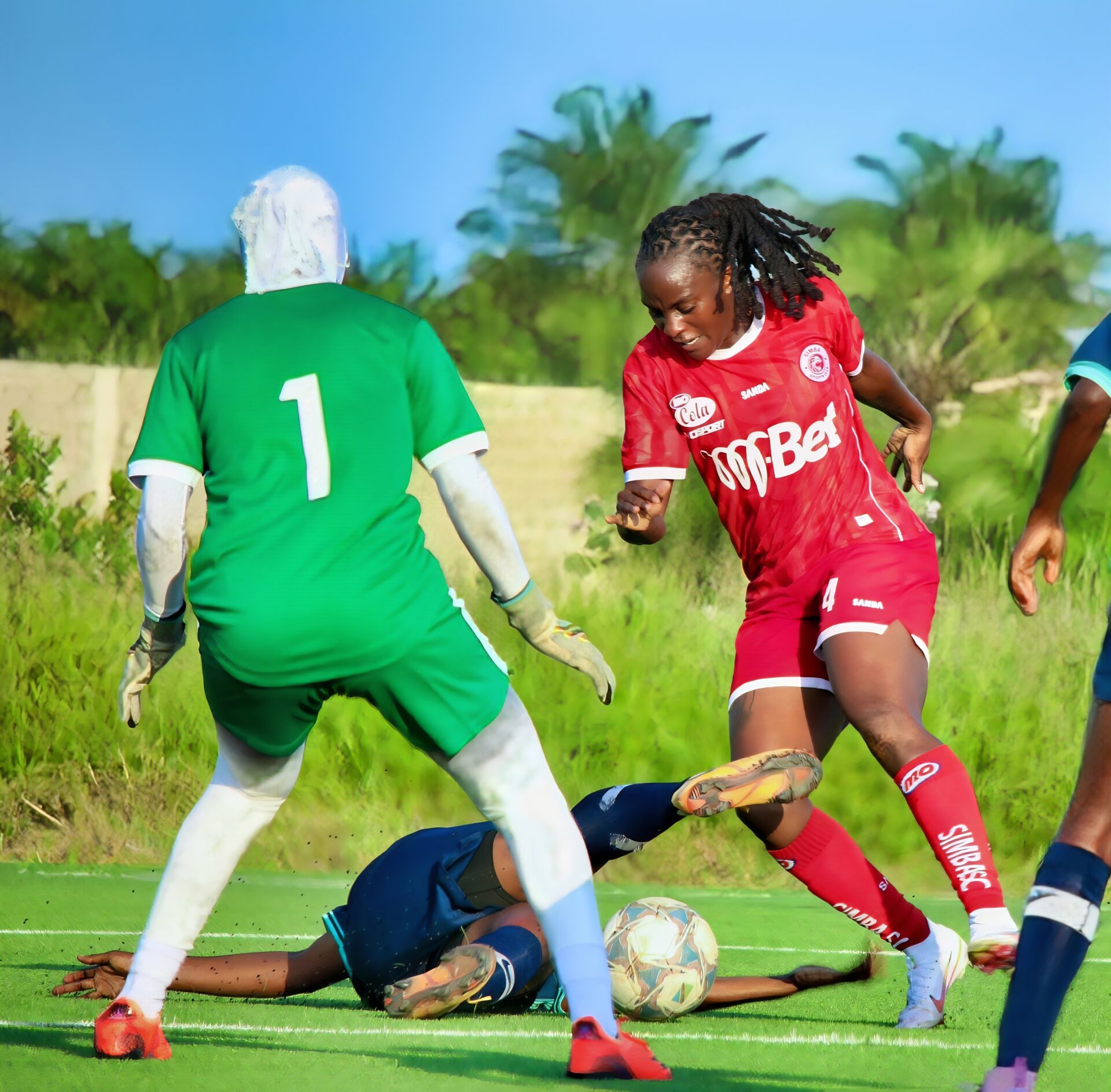 Tanzania Women's Premier League Tanzania Women's Premier League