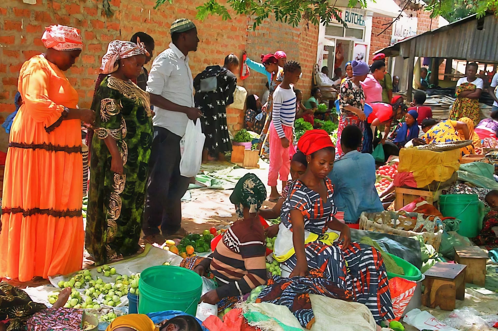 Peace and Justice in Tanzania Peace and Justice in Tanzania